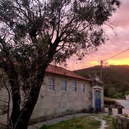 Casa Da Ventozella Pensionat Penafiel Eksteriør billede